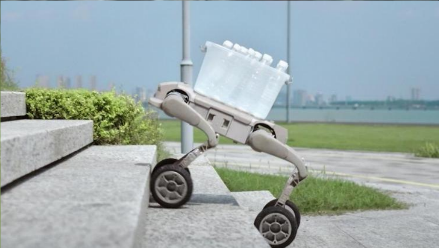 Robot assisting a user along city steps