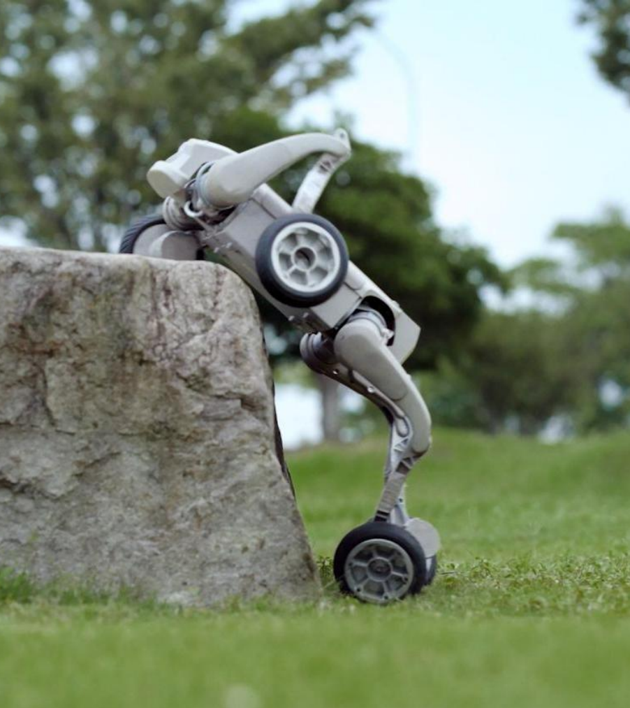 Quadruped robot patrolling a public park